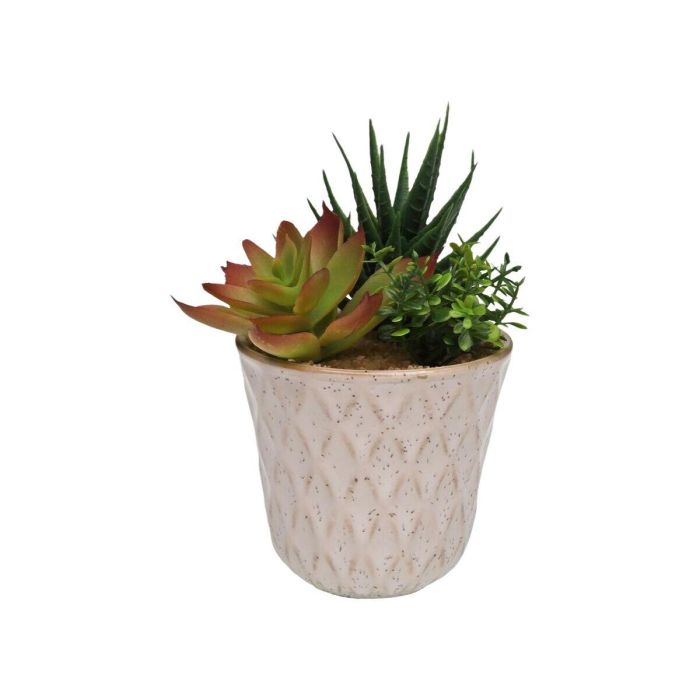 Planta Decorativa Versa Cerámica Plástico Fusion Suculenta 7,8 X 14 X 7,8 CM 1 Planta Decorativa Versa Cerámica Plástico Fusion Suculenta 7,8 X 14 X 7,8 CM 1