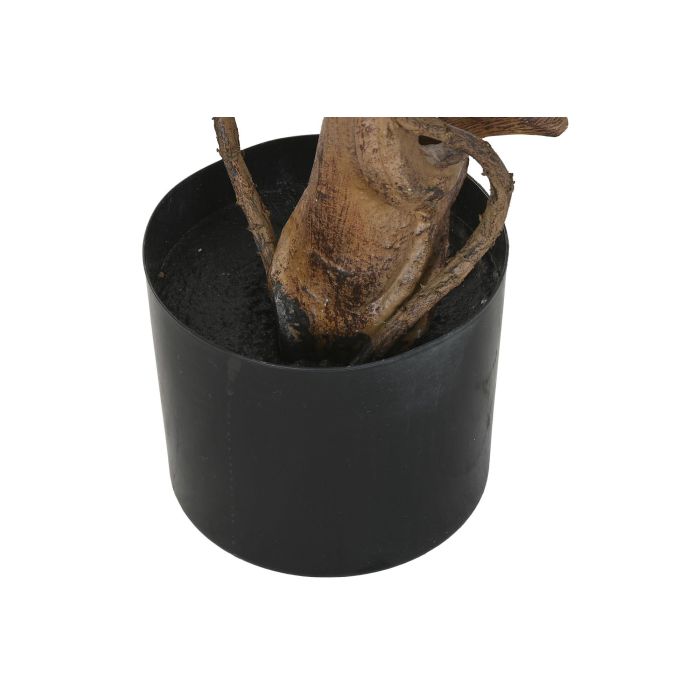 Arbol Mediterraneo DKD Home Decor Verde 58 x 180 x 58 cm (2 Unidades) 3 Arbol Mediterraneo DKD Home Decor Verde 58 x 180 x 58 cm (2 Unidades) 3