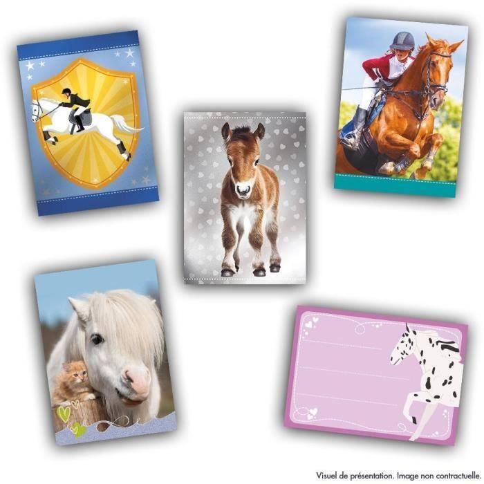 Starter pack - PANINI - Colección de tarjetas para aficionados a los caballos - Contiene 1 carpeta + 2 bolsillos 1