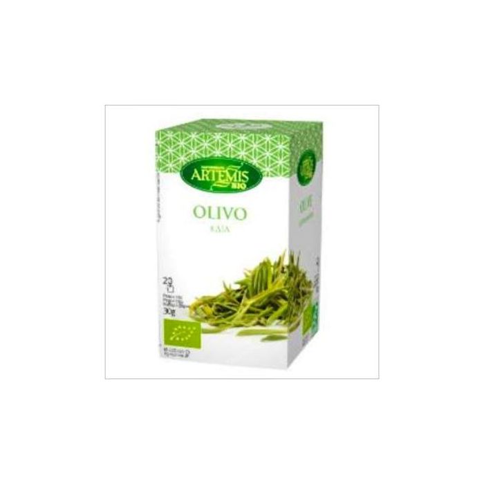 Olivo