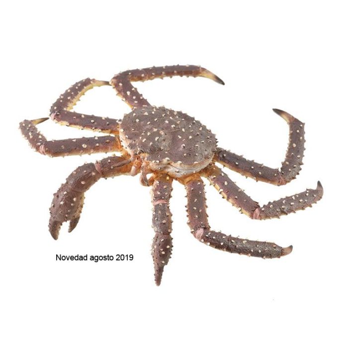 Cangrejo Real - Xl - 88851 - Collecta Cangrejo Real - Xl - 88851 - Collecta