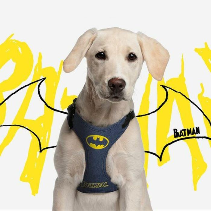 Arnés para Perro Batman XXS/XS Azul 6