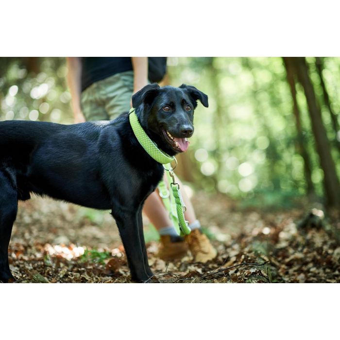 Hunter Collar Hilo Vario Plus XL para Perro - Cuello 45-70 cm, Ancho 38mm, Lima, Malla 3D Transpirable, Refrescante y Reflectante 3