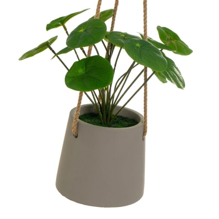 Planta Decorativa Polietileno Cemento 23 x 19 x 24 cm 2