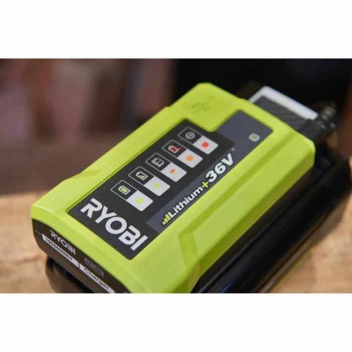 Ryobi RYO4892210179425 Cargador estándar 36V 1.7A MaxPower 1 Ryobi RYO4892210179425 Cargador estándar 36V 1.7A MaxPower 1