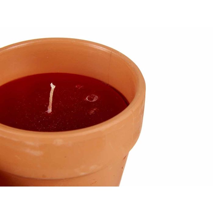 Vela Vaso Barro Geranio Ibergarden 8CM (48 Unidades) 3 Vela Vaso Barro Geranio Ibergarden 8CM (48 Unidades) 3