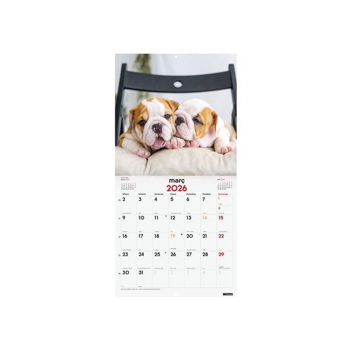 Calendari (2026) Catalan Finocam Paret Imatges Mensual Per Escriure 300X300 Cadells