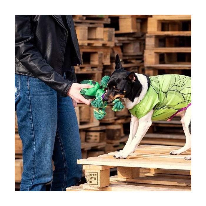 Cerdá Cuerda dental para perro Avengers Hulk 8.0 x 13.0 x 26.0 cm Verde 8 Cerdá Cuerda dental para perro Avengers Hulk 8.0 x 13.0 x 26.0 cm Verde 8