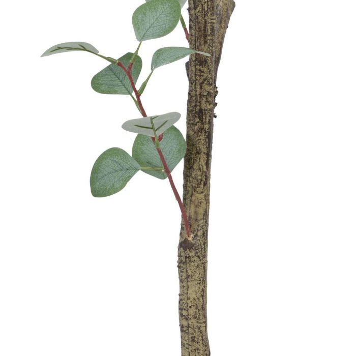 Planta Decorativa Polietileno Eucalipto 80 x 82 x 180 cm 2 Planta Decorativa Polietileno Eucalipto 80 x 82 x 180 cm 2