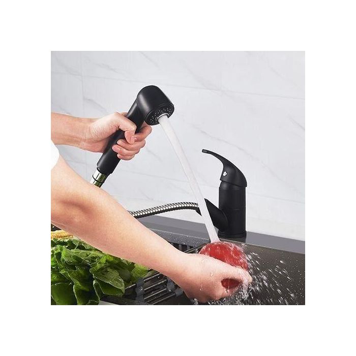 Edouard Rousseau AAAPS00243 Grifo Monomando Lavabo BAGO, Ducha Extraíble 2 Chorros, Negro Mate, Diseño Clásico 2