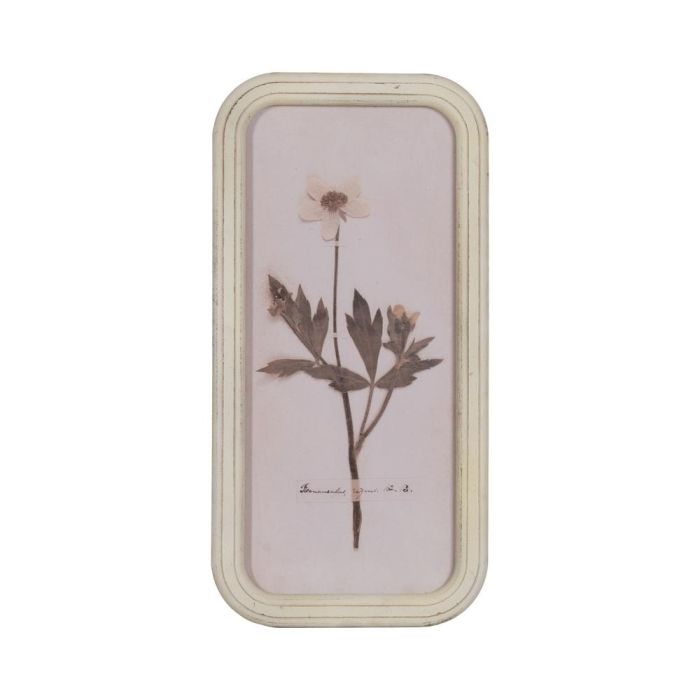 Cuadro Impresión Flores 4/M Dm-Cristal 25 X 2 X 50 cm