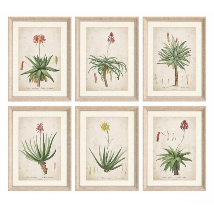 DKD Home Decor Cuadro Tropical Verde y Beige de Palmeras 40x30 cm (6 Unidades) Decoración del Hogar