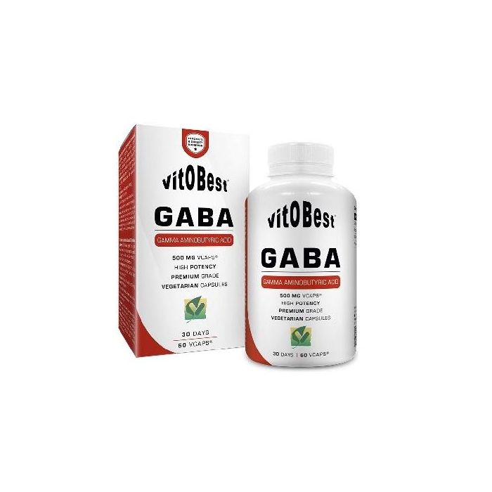 Gaba 500 Mg