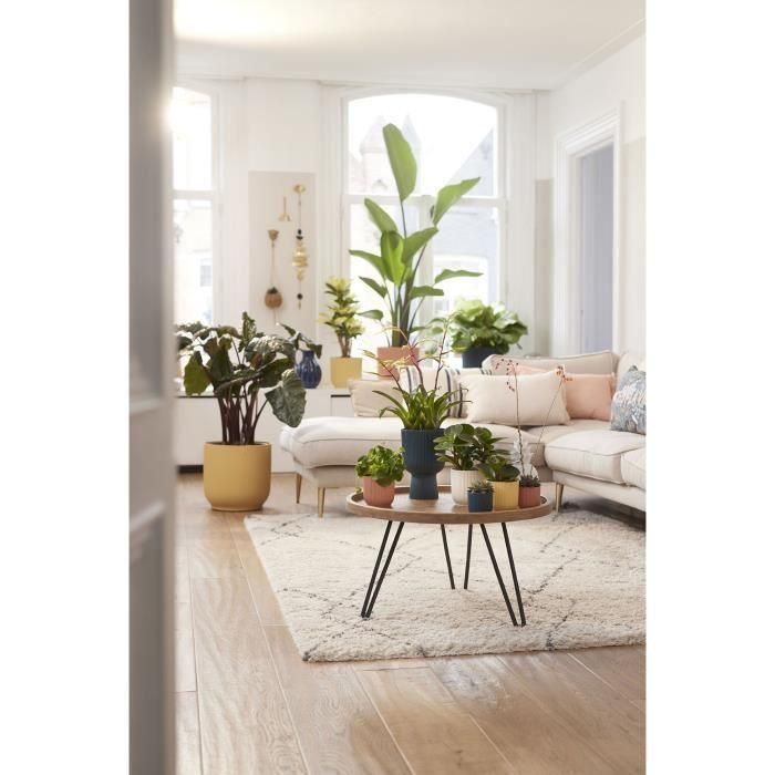 Vibes Redonda Flower Pot - Plastic - Ø25 - Azul oscuro 5 Vibes Redonda Flower Pot - Plastic - Ø25 - Azul oscuro 5