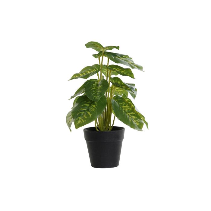 DKD Home Decor Planta Artificial Diefembaquia Decoración para Hogar u Oficina, Colores Verde y Negro, Dimensiones 20x20x30 cm, Fabricada en PVC y PP