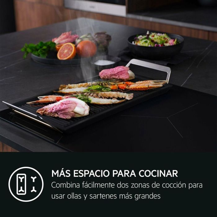 Placa de Inducción AEG 2 Placa de Inducción AEG 2