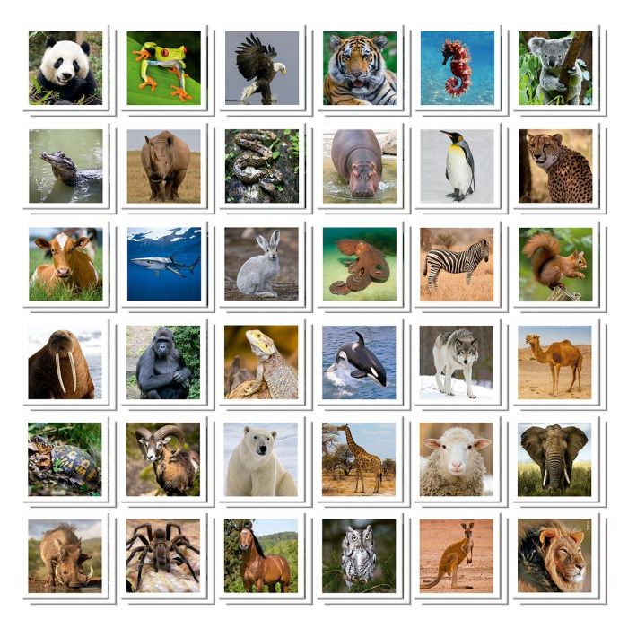 Identic Memo Game Animales 20317 Educa 1 Identic Memo Game Animales 20317 Educa 1