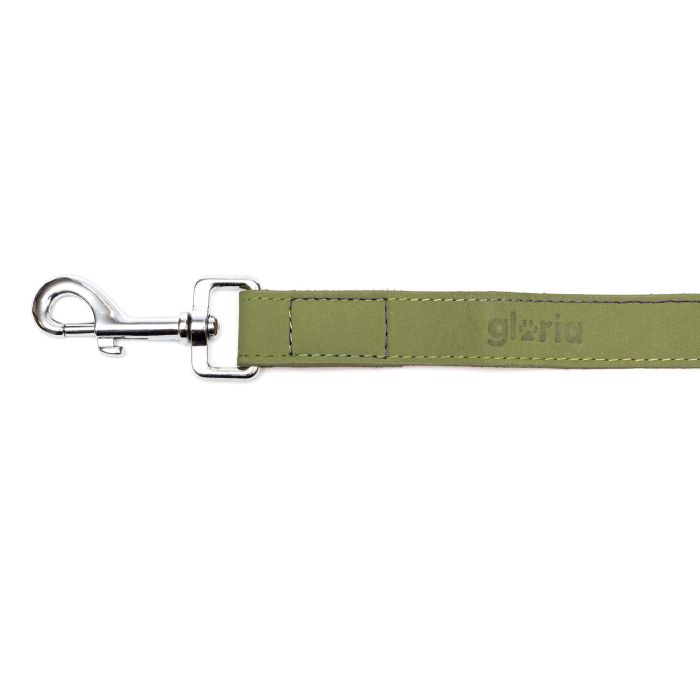 Gloria Correa Oasis 100 cm X 21 mm Verde para Perro de Cuero 1 Gloria Correa Oasis 100 cm X 21 mm Verde para Perro de Cuero 1