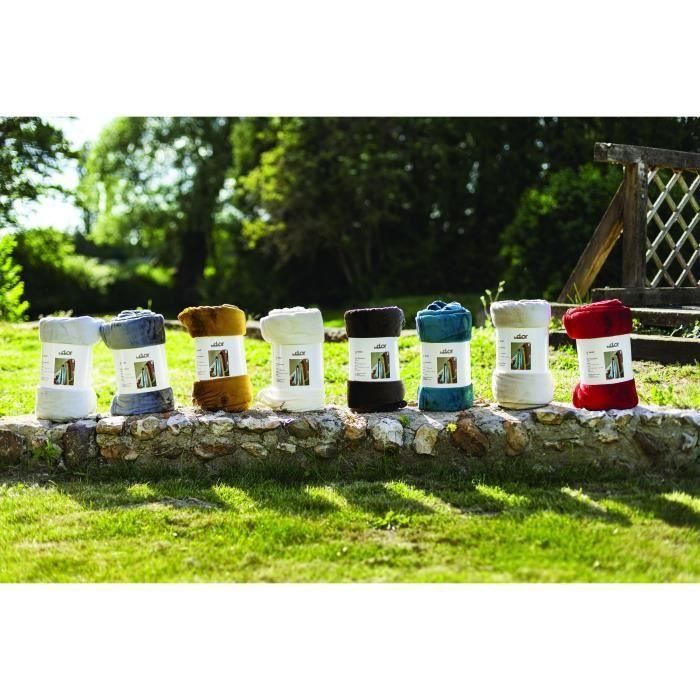 Toison D'Or Tiro a cuadros Negro de Microfibra 100% Poliéster Ultra Suave 280 gr/m² 130x170 cm 2