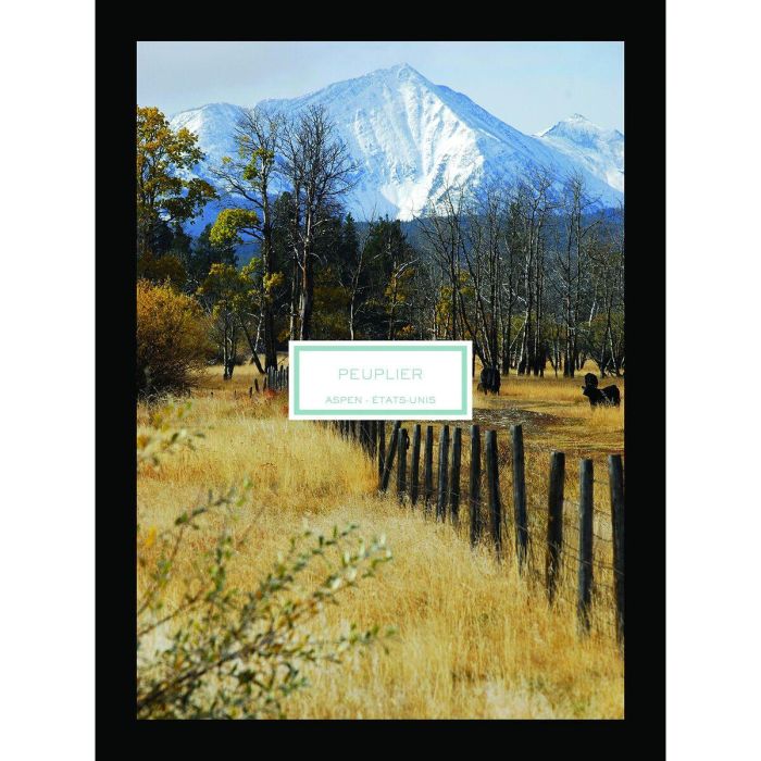 Vela Perfumada Lalique 1 Vela Perfumada Lalique 1