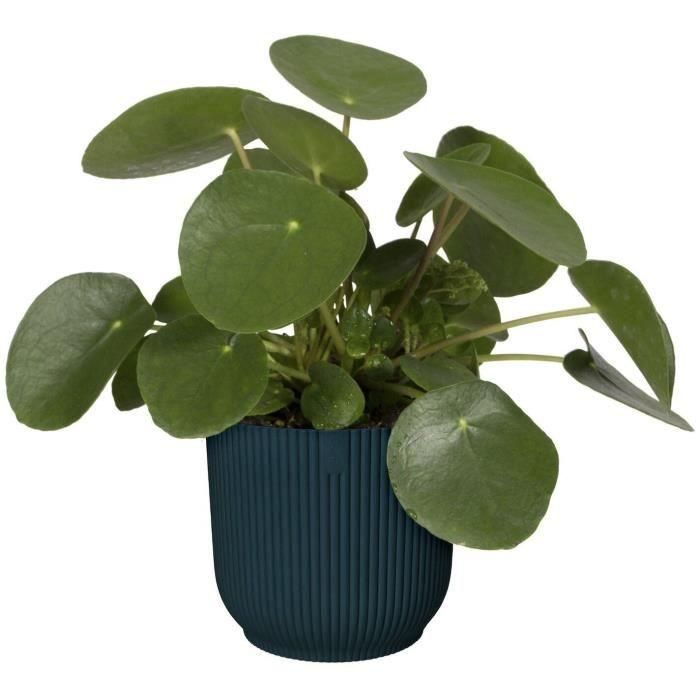 Vibes Redonda Flower Pot - Plastic - Ø22 - Azul oscuro 2 Vibes Redonda Flower Pot - Plastic - Ø22 - Azul oscuro 2