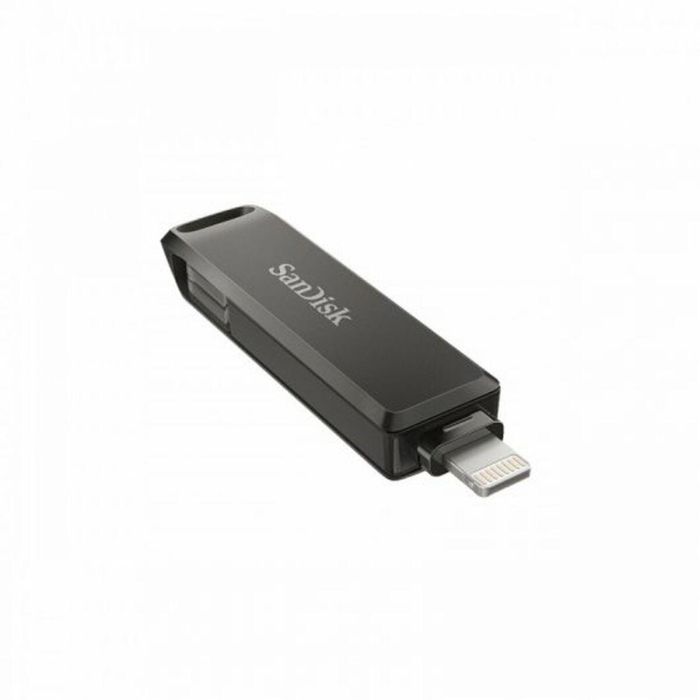 Memoria USB SanDisk 256 GB 1