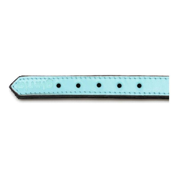 Gloria Collar de Piel Acolchado para Perro Azul 45 cm X 20 mm
