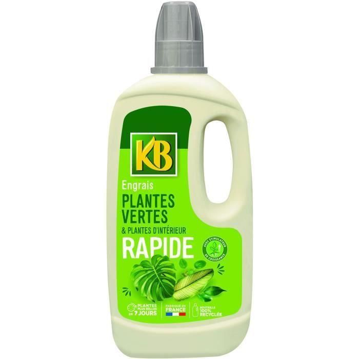 Fertilizante Rápido Plantas Verdes y Plantas de Interior 1L Fertilizante Rápido Plantas Verdes y Plantas de Interior 1L