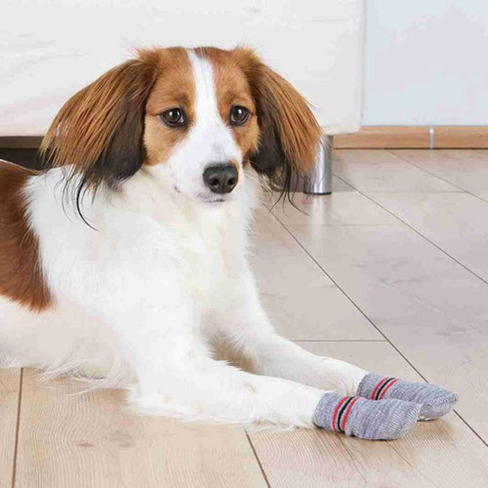 Calcetines Trixie Gris XL Perro 5 Calcetines Trixie Gris XL Perro 5