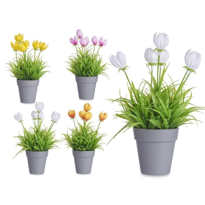 Ibergarden Maceta Tulipan Surtidos para Jardín y Terraza, Fabricada en Plástico, Metal o Tela, Colores Variados, 14x21x14 cm (24 Unidades) Ibergarden Maceta Tulipan Surtidos para Jardín y Terraza, Fabricada en Plástico, Metal o Tela, Colores Variados, 14x21x14 cm (24 Unidades)