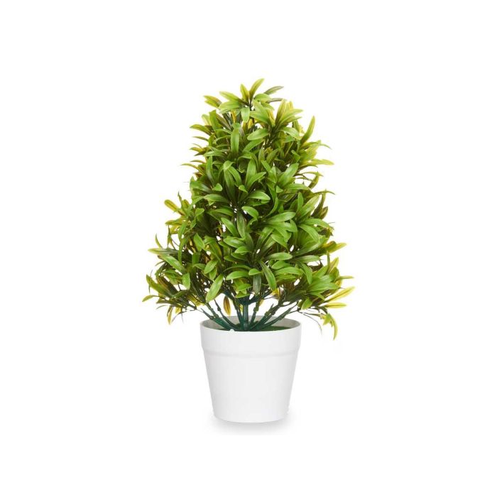 Planta Grande Verde Hojas Finas Maceta Blanca Ibergarden 18X35CM (6 Unidades) 1 Planta Grande Verde Hojas Finas Maceta Blanca Ibergarden 18X35CM (6 Unidades) 1