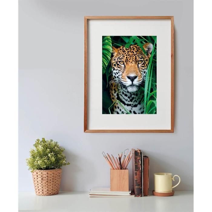 Clementoni CLE1708579108441 Puzzle 500 Piezas Compacto - Jaguar en la Jungla 4 Clementoni CLE1708579108441 Puzzle 500 Piezas Compacto - Jaguar en la Jungla 4