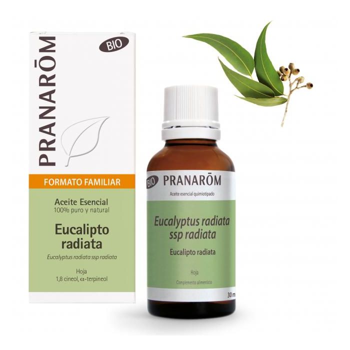 Aceite Esencial Aeqt Eucalipto Radiata Bio 30 Ml Aceite Esencial Aeqt Eucalipto Radiata Bio 30 Ml