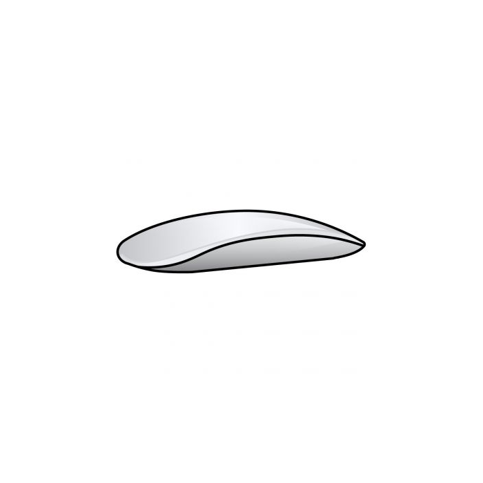 Apple Magic Mouse 2 / USB Tipo-C / Plata