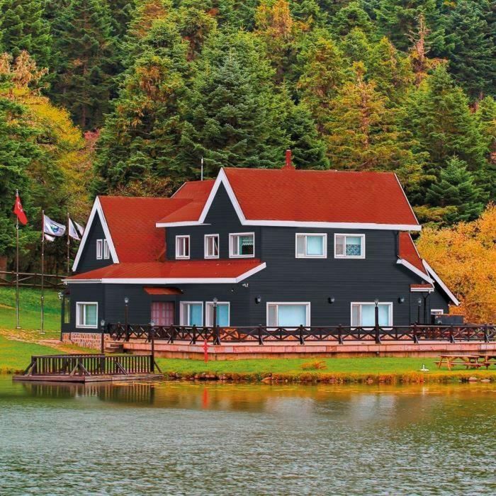 Pintura de Imprimación Bondex Gris Satinado 5 L 3