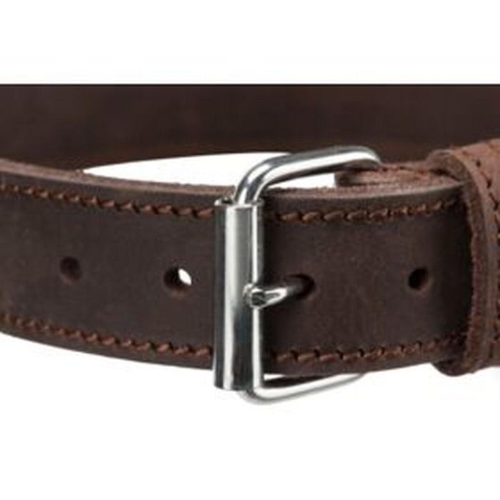 Collar para Perro Trixie Rustic Gris L/XL 57-66 cm 4