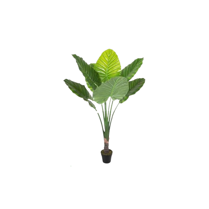 Planta Tropical DKD Home Decor Verde 80 x 180 x 80 cm (2 Unidades) Planta Tropical DKD Home Decor Verde 80 x 180 x 80 cm (2 Unidades)