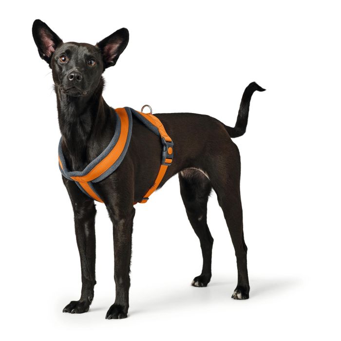 Arnés para Perro Hunter London Comfort Naranja M 57-70 cm 2