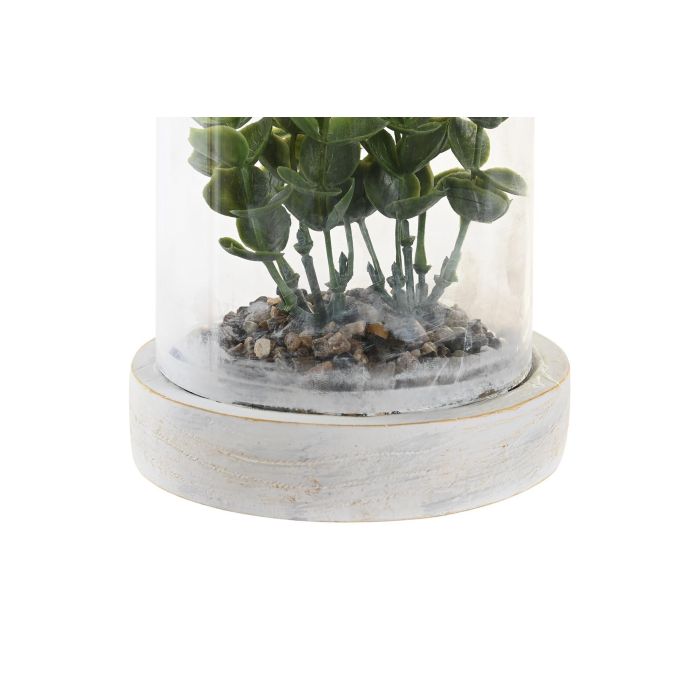 DKD Home Decor Planta Natural Marron Oscuro 12 x 18 x 12 cm (4 Unidades) 2 DKD Home Decor Planta Natural Marron Oscuro 12 x 18 x 12 cm (4 Unidades) 2