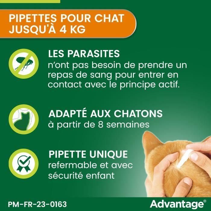 VENTAJA 40 - 4 pipetas antiparasitarias - Para gatos y conejos de menos de 4 kg 2 VENTAJA 40 - 4 pipetas antiparasitarias - Para gatos y conejos de menos de 4 kg 2