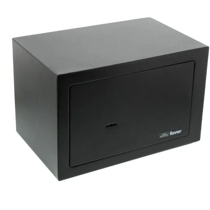 Burg Wachter Caja Fuerte S3 K - Cerradura de Llave de Doble Bit 1