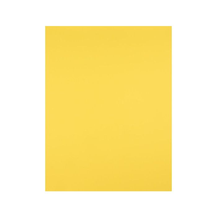 Cartulina Liderpapel 50x65 cm 180 gr-M2 Amarillo Limon 125 unidades 2