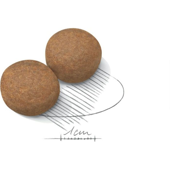 Pienso Royal Canin Maxi Adulto 18 kg 2 Pienso Royal Canin Maxi Adulto 18 kg 2