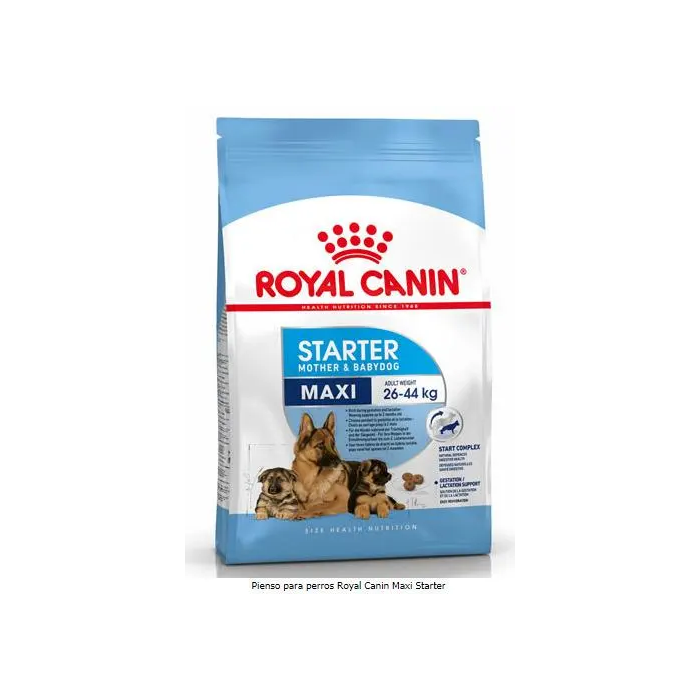Royal Canine Starter Maxi 15 kg