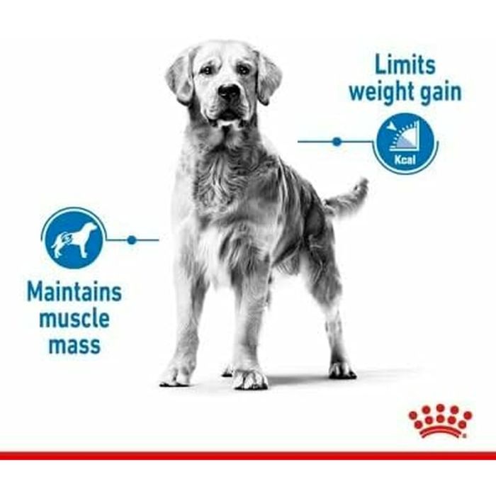 Pienso Royal Canin 12 kg 3