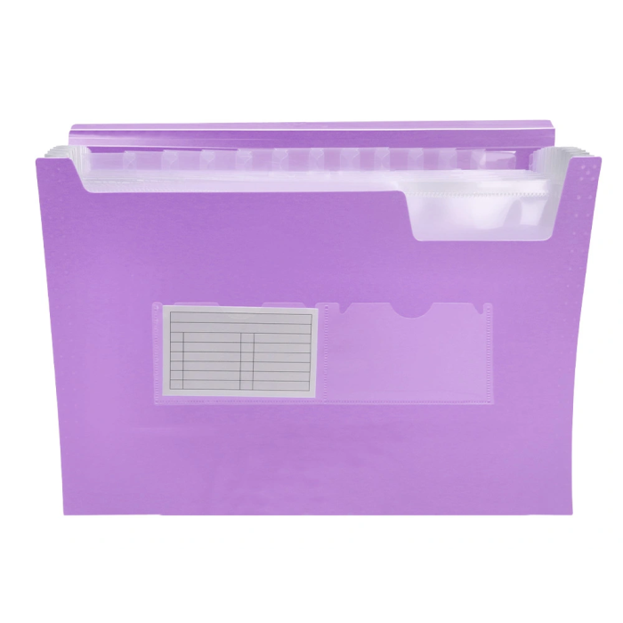 Liderpapel Carpeta Clasificadora Fuelle Polipropileno DIN A4 Lavanda Opaco 13 Departamentos 5