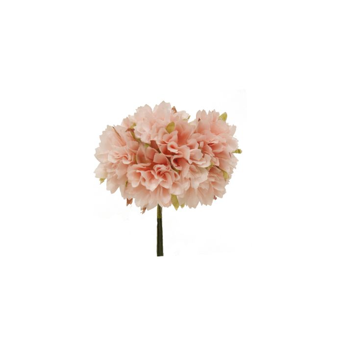 Mini Flor Bolsa de 10 Pomos Zinnia x 6 Flores Rosa