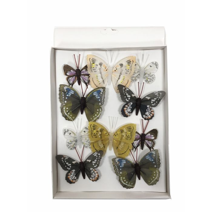 Caja de 10 Mariposas Surtidas