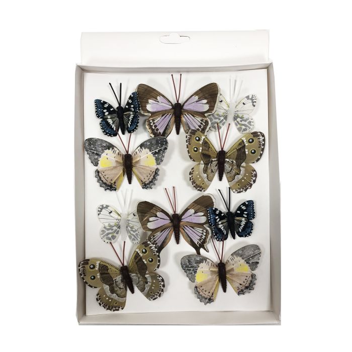 Caja de 10 Mariposas Surtidas