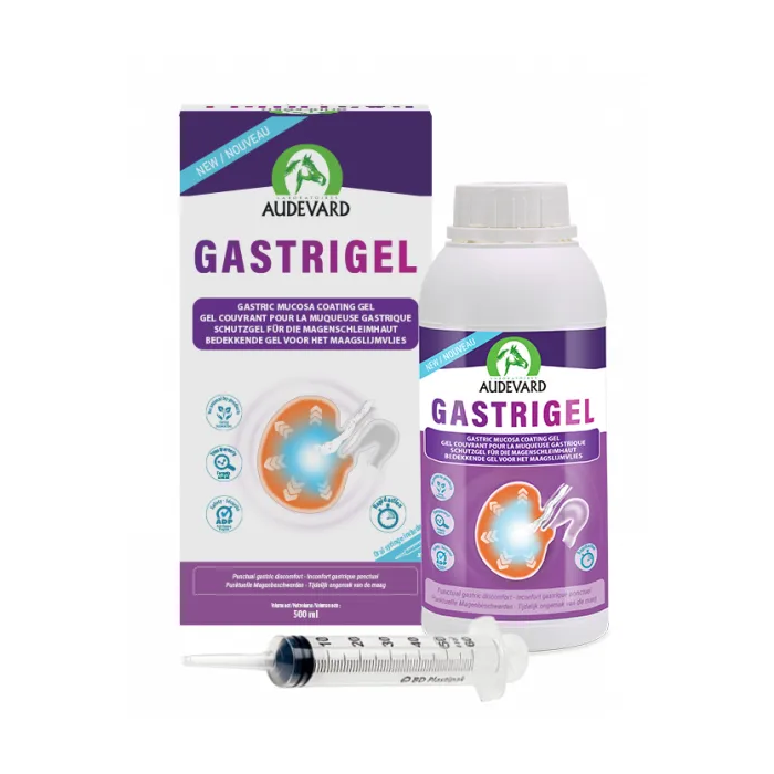 Gastrigel 500 mL Gastrigel 500 mL